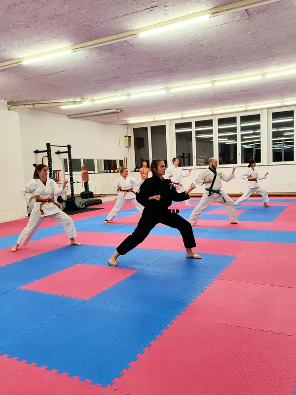 Traditiona Hwalmoodo form practice